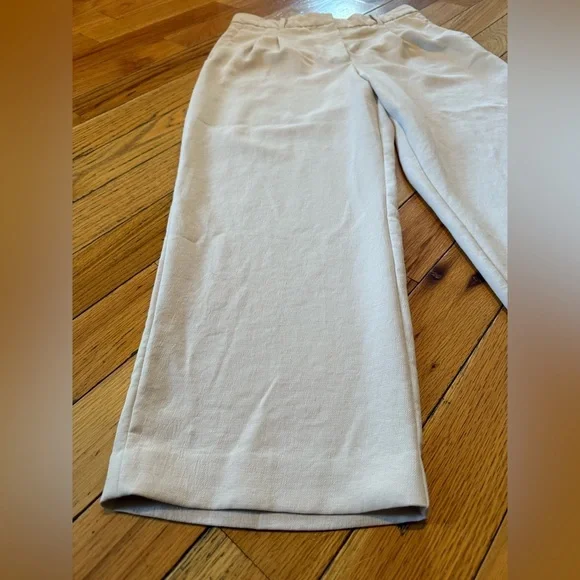 Wilfred Aritzia High Rise Pleated Wide Leg Trouser Pants Womens Size 12 Ivory - Picture 3 of 15